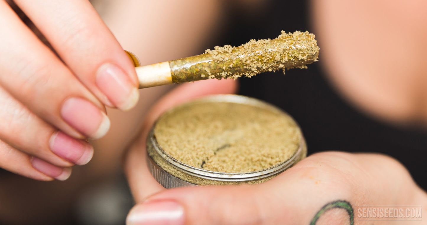 THCA Pre-roll