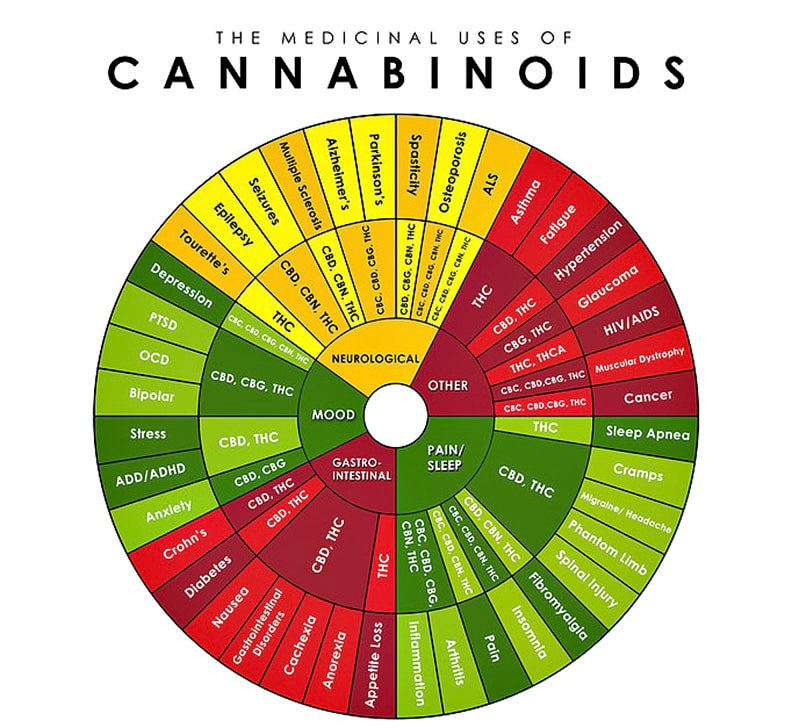 CBD Vegan Gummies
